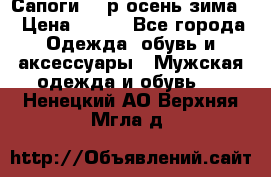 Сапоги 35 р.осень-зима  › Цена ­ 700 - Все города Одежда, обувь и аксессуары » Мужская одежда и обувь   . Ненецкий АО,Верхняя Мгла д.